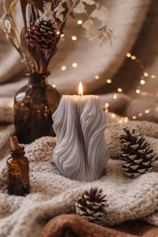 Lueur Bois de Minuit (Janvier – Grand Est)